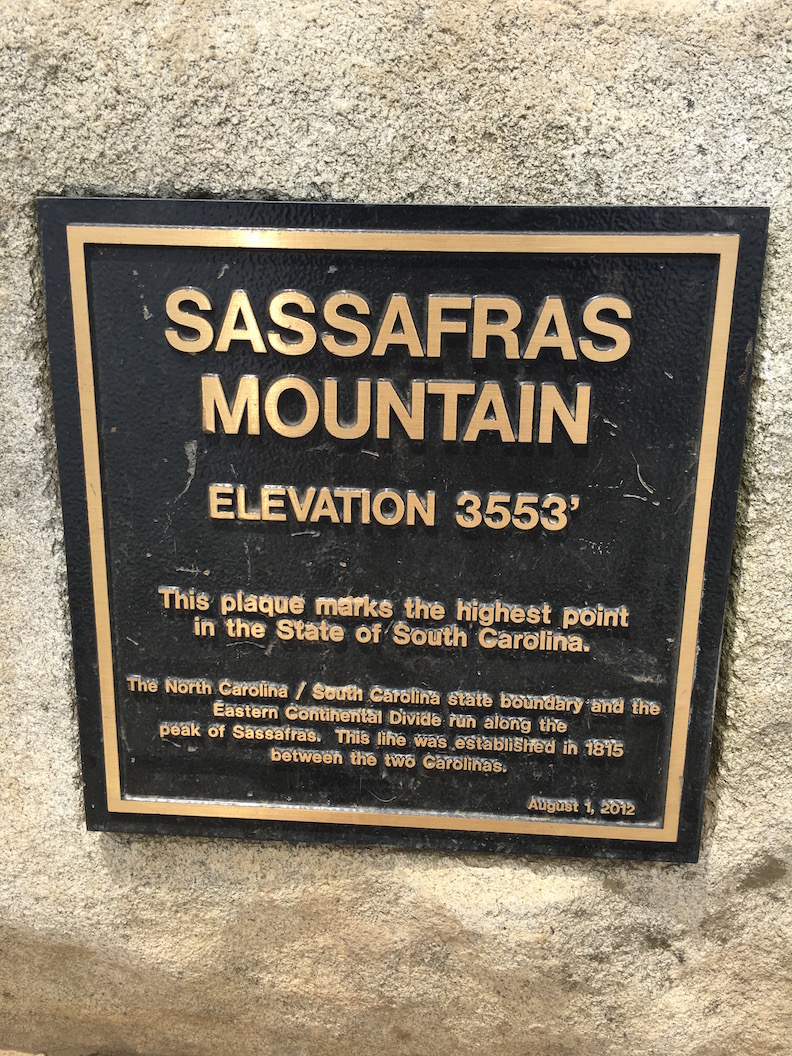 Sassafras-Plaque